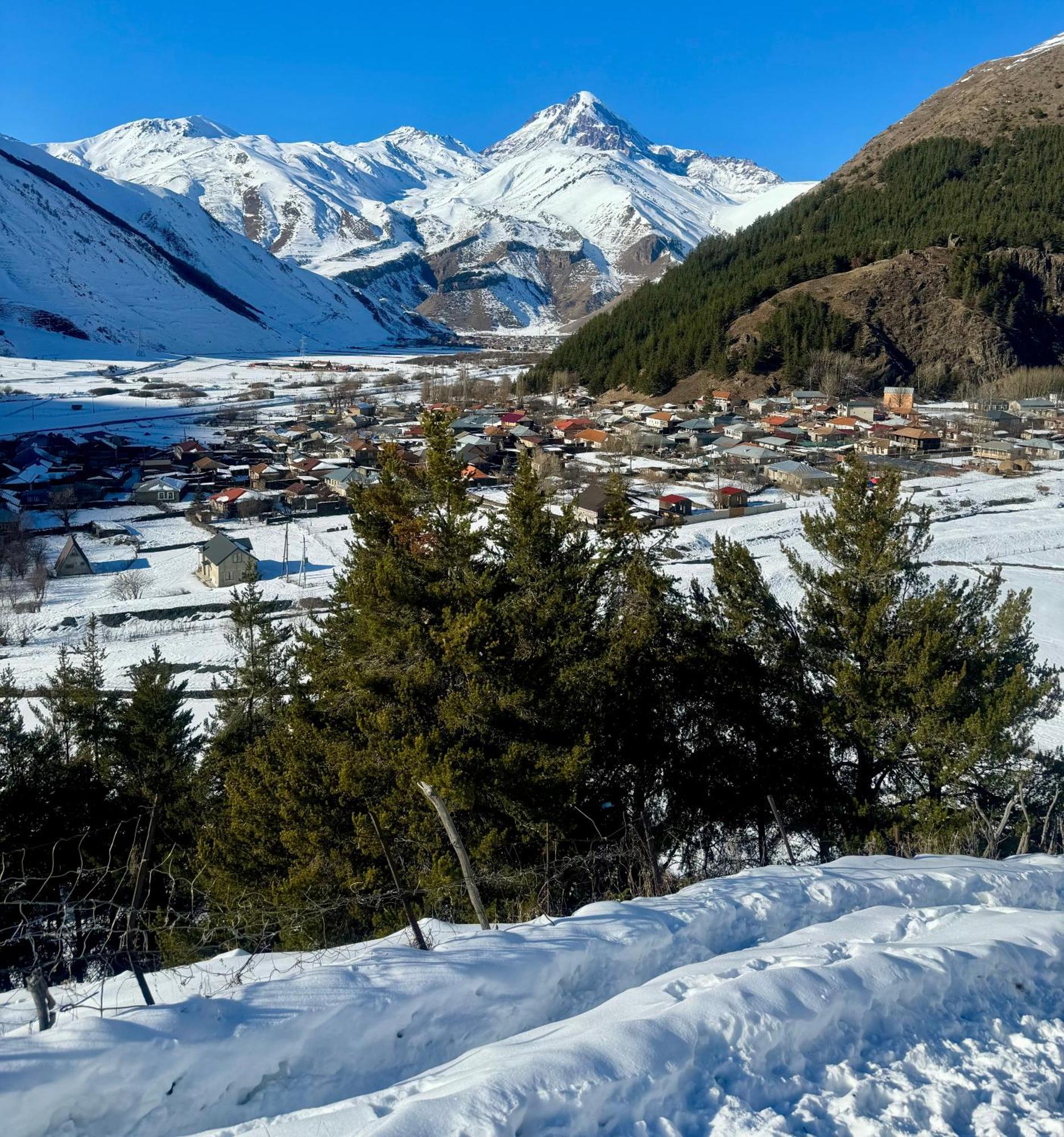 Villa Januka Garden At Sno Kazbegi Exterior foto